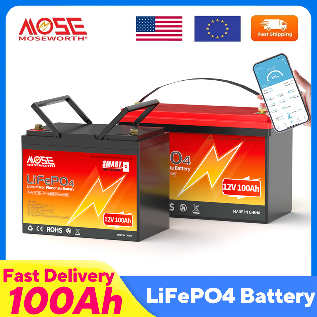 MOSEWORTH LiFePO4 12V 100Ah Ba - огляд і ціна Lifepo4 12V 100Ah Bms Bluetooth