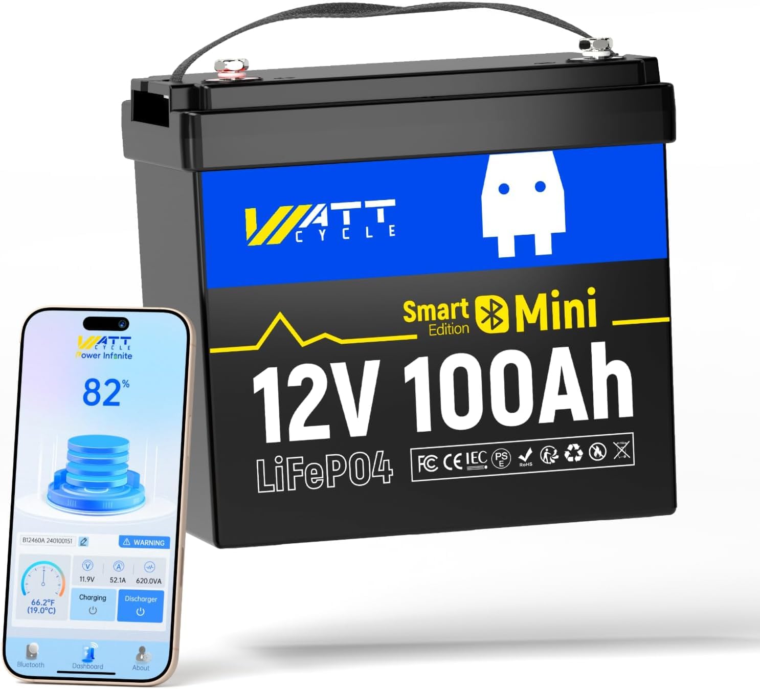 12V 100Ah Mini LiFePO4 Battery - огляд і ціна Lifepo4 12V 100Ah Bms Bluetooth