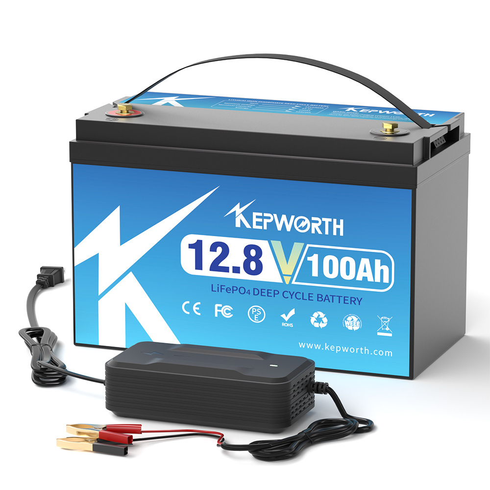 12V 24V 100AH 120AH 300AH LiFe - огляд і ціна Lifepo4 12V 100Ah Bms Bluetooth